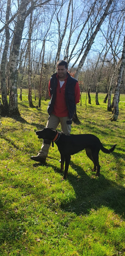 activites-canine-serinity-dog-bordeaux-gironde-branne-saint-emilion-saint-aubin-de-branne-(04)