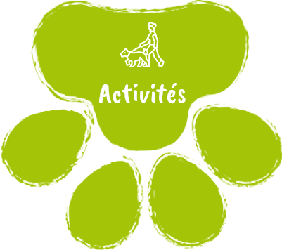 activites