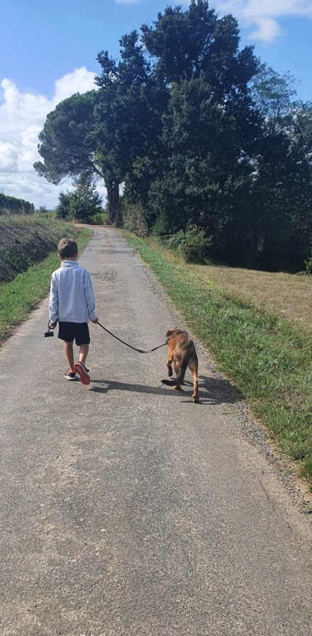 comportement-canin-serinity-dog-bordeaux-gironde-branne-saint-emilion-saint-aubin-de-branne-(05)