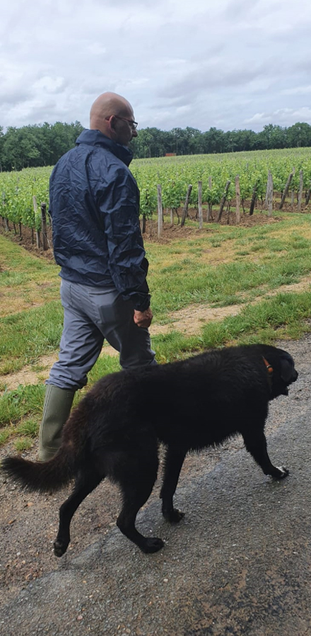 education-canine-serinity-dog-bordeaux-gironde-branne-saint-emilion-saint-aubin-de-branne_(01)