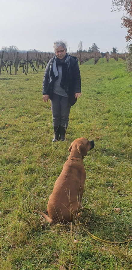 education-canine-serinity-dog-bordeaux-gironde-branne-saint-emilion-saint-aubin-de-branne_(05)