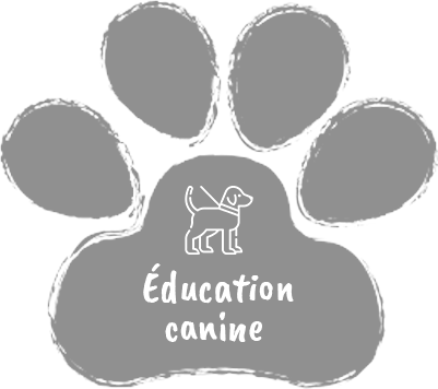 education-canine