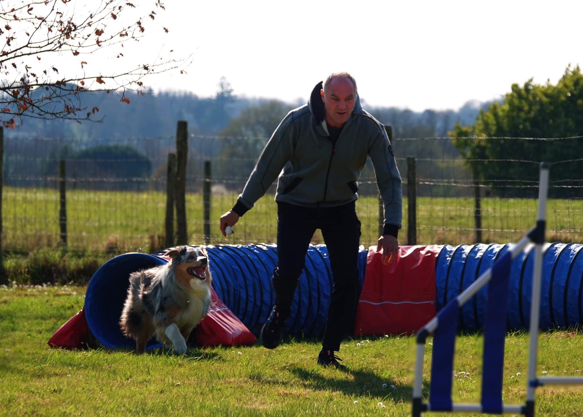 activites-canine-serinity-dog-bordeaux-gironde-branne-saint-emilion-saint-aubin-de-branne-(021)