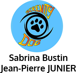 logo header logo